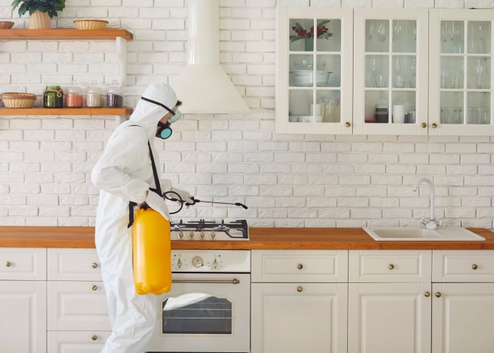 Behandlung von Bettwanzen in Bellinzone 6500